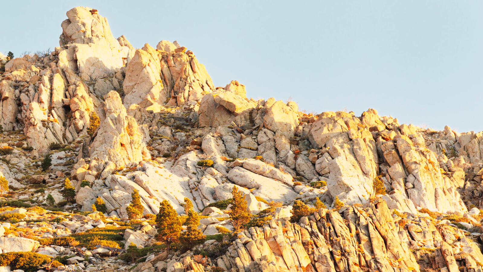 Mountain Top Carson River 88 near Woodfords