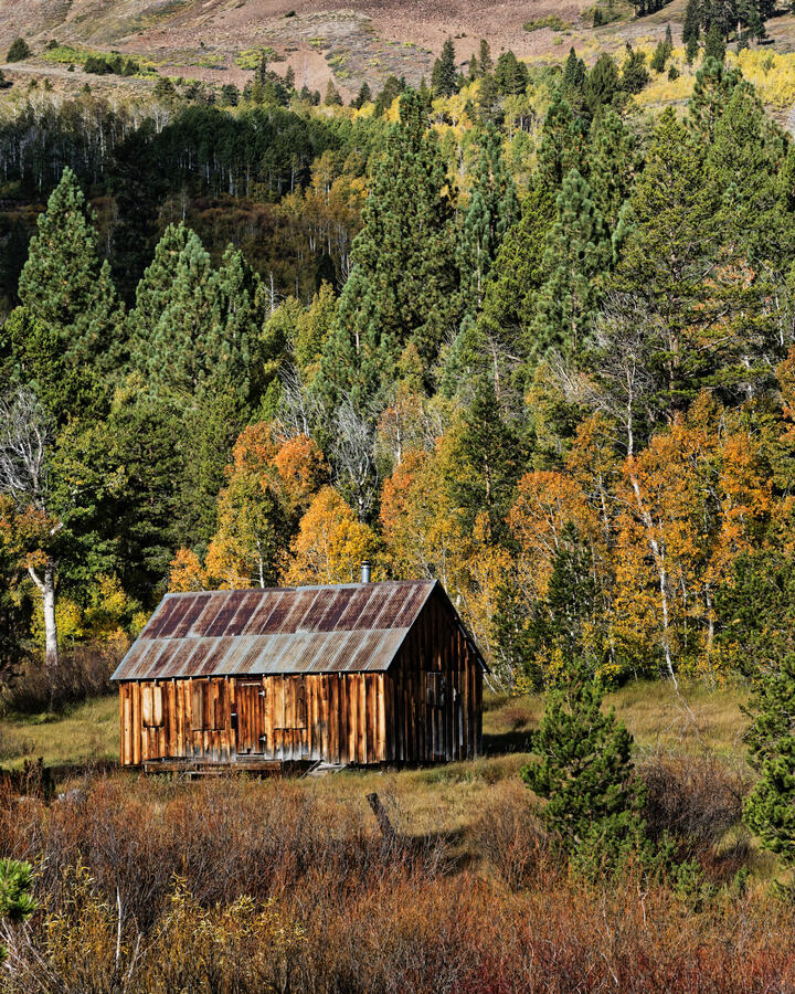 Old Cabin before Carson Pass October 2025