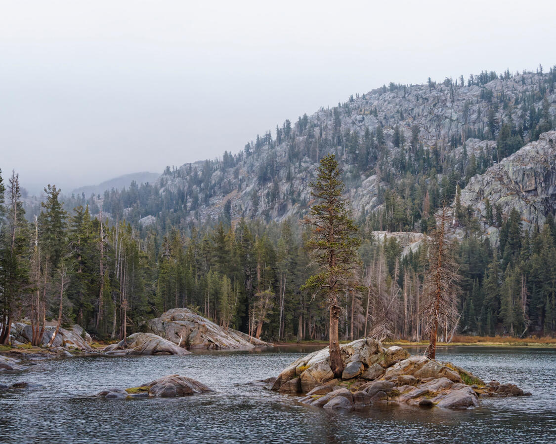 Wood's Lake Island focus 5x4 October 2025