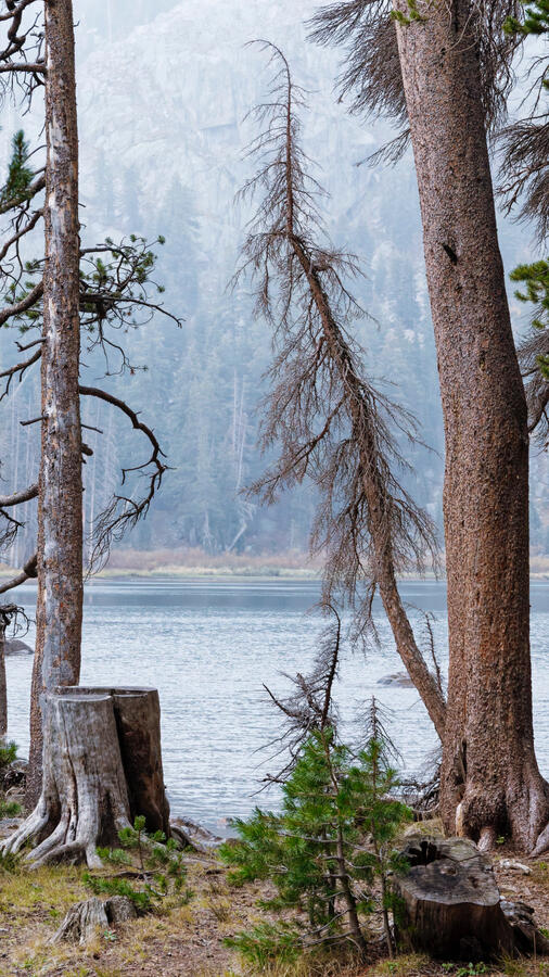 Wood's Lake at Carson Pass before sunrise October 2025