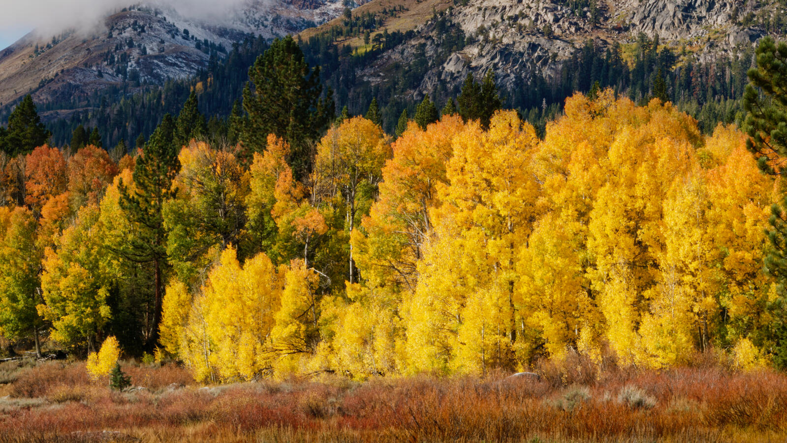 Aspen Grove before Hope Valley Turn October 2025