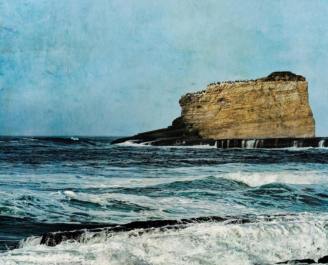 Laguna Beach Rock to the South with Birds Texture Added 2025