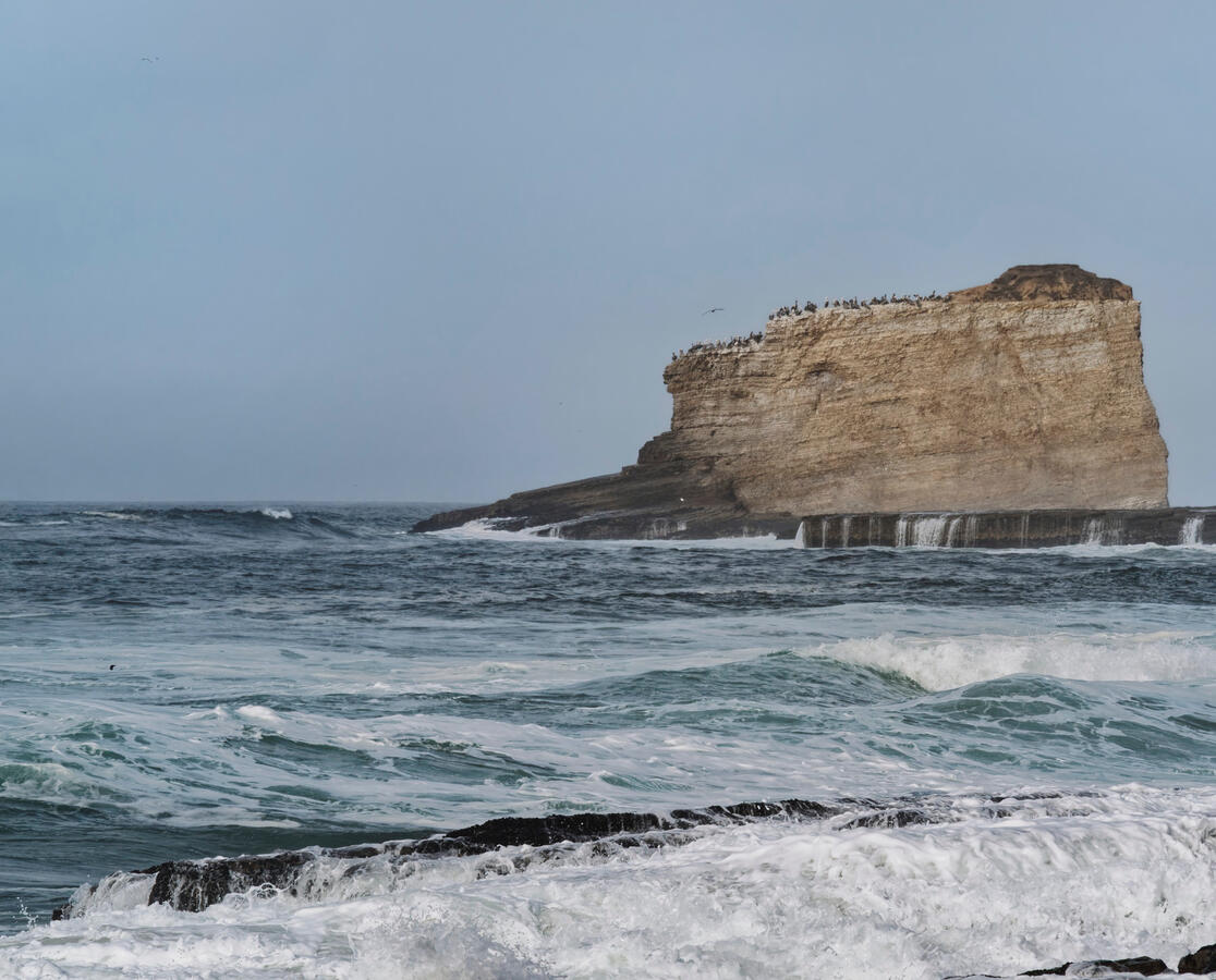 Laguna Beach Rock to the South with Birds 2025