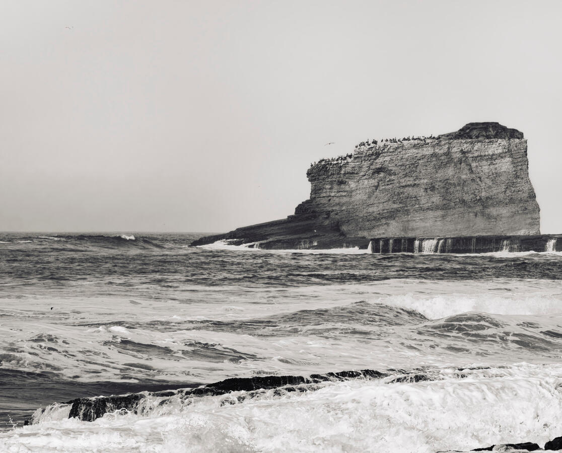 Laguna Beach Rock to the South with Birds BW Contrasty 2025
