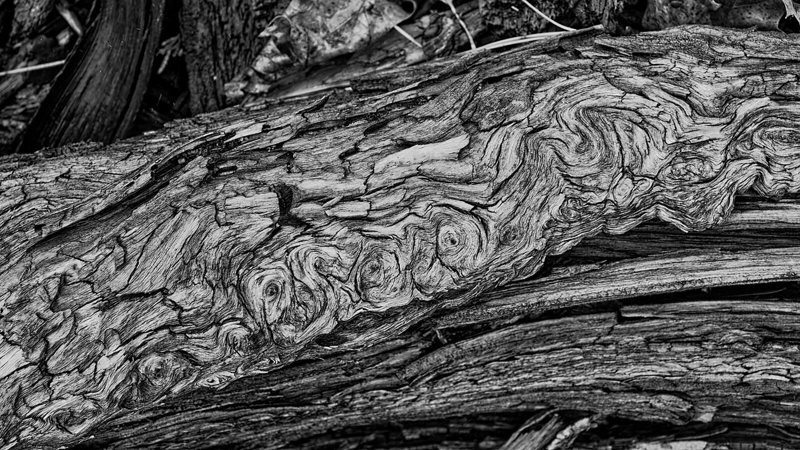 Log in Fog rolling texture NIK edit Dec 2025