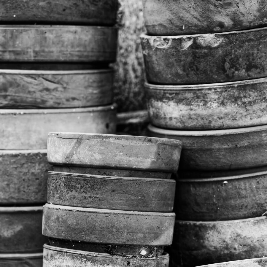 2026 Pots by fence BW
